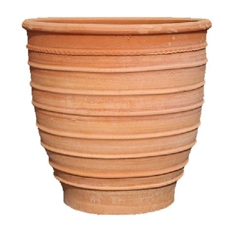 Terracotta Pot 6 Inch Wild Roots