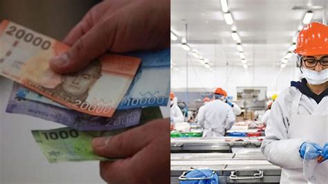 ¿cuánto aumentará el sueldo mínimo en chile a partir del 1 de enero del 2023 — pudahuel