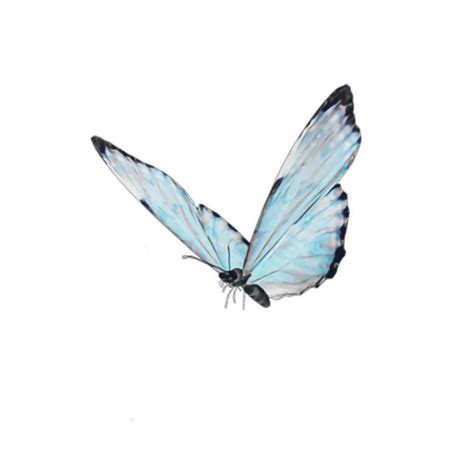 Blue Butterfly Soft Cute Aesthetic Goth Kawaii Love Nat