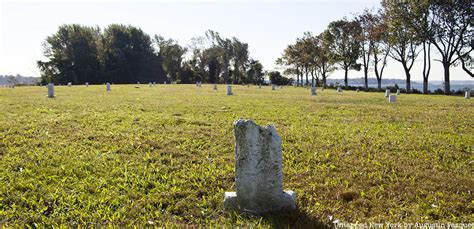 Haunting Video And Photos Of Hart Island Nycs Mass Burial Ground