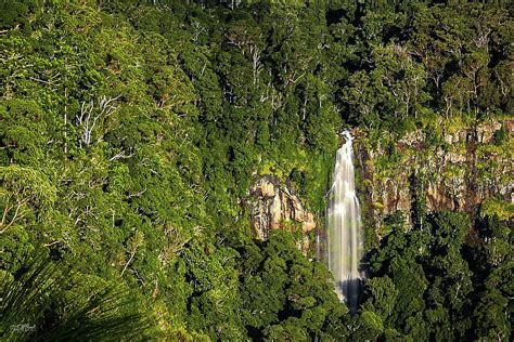 Morans Falls Lamington National Park Queensland Photograph By Tina M