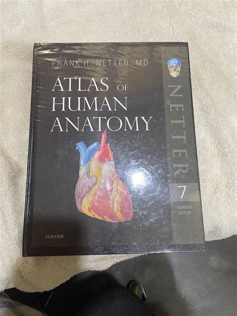 Netters Atlas Of Human Anatomy Printed Copy Photocopy Hobbies