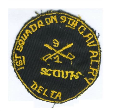 Vietnam Helicopter Insignia And Artifacts D Troop 1st Squadron 9th