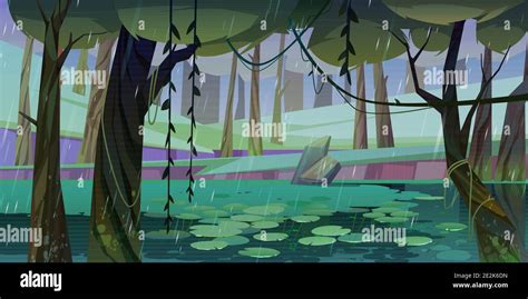 Rain In Forest With Swamp Or Lake And Water Lilies Floating Nature Landscape With Marsh In Deep