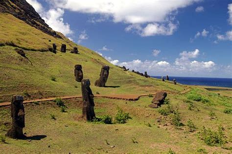 Ecorregión Terrestre Bosques Latifoliados Subtropicales De Rapa Nui
