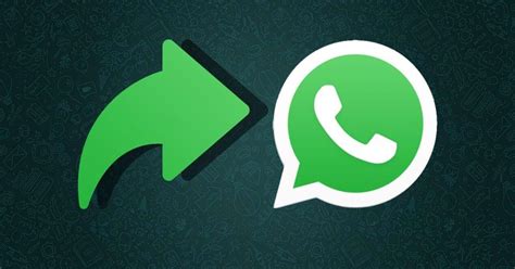 Utiliza Estos Trucos Para Reenviar Mensajes De WhatsApp Sin Que