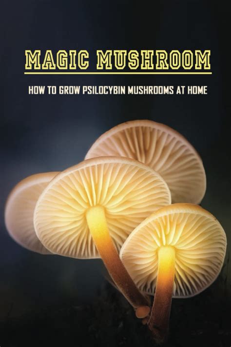 Magic Mushroom How To Grow Psilocybin Mushrooms At Home Magic