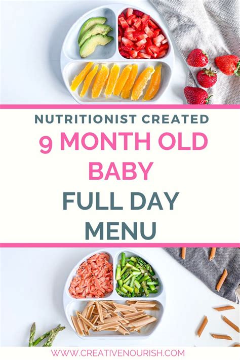 9 Month Old Baby Full Day Menu   Baby food recipes, Baby  