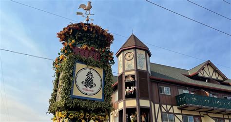 Preview Of Mt Angel Oktoberfest Mater Dei Radio