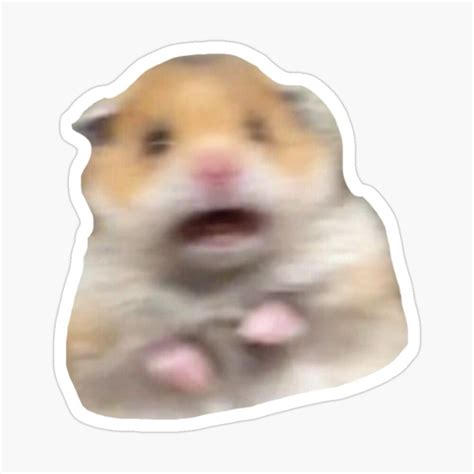 Blurry Hamster Meme Sticker By Devin Moore In 2021 Hydroflask Stickers Meme Stickers Stickers