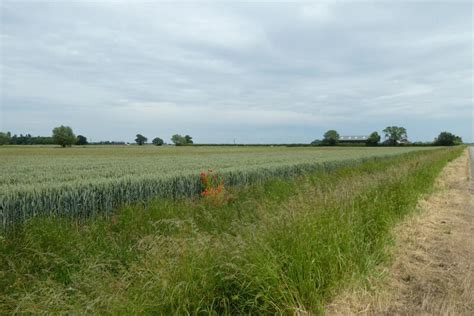 Crops Beside Greenland Lane DS Pugh Geograph Britain And Ireland
