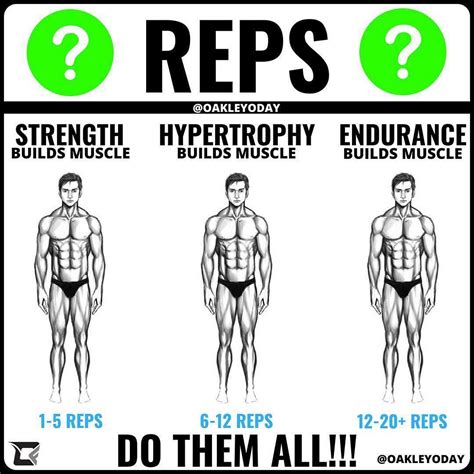 How Reps And Sets To Gain Mass Massgainerreview