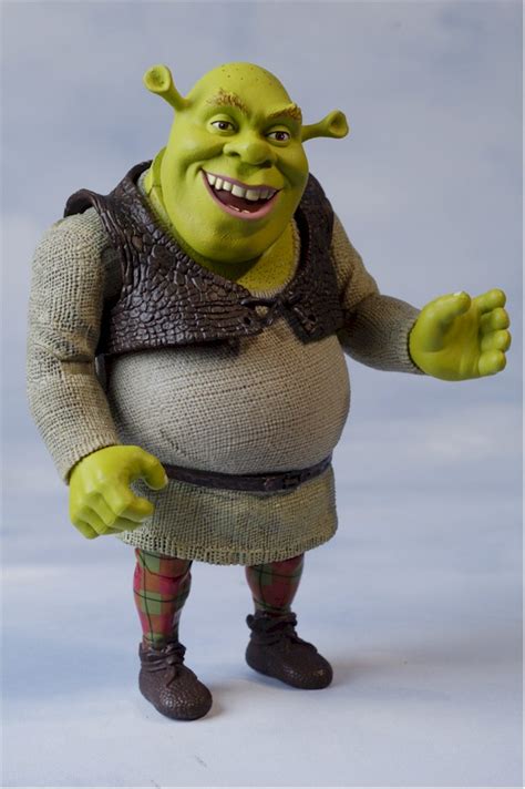 Shrek The Ogre Action Figure Another Pop Culture Collectible Review