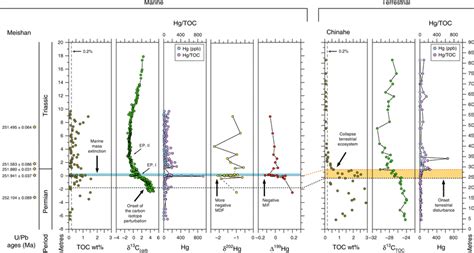 Permiantriassic Events Existing Records Show The Terrestrial