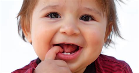 Aber bei einem etwa sechs monate altem säugling, in dessen kiefer sich die ersten zähne bereits ankündigen, kann man durchaus schon mal spielerisch mit der mundhygiene. Wann bekommt ein baby zahne. Die ersten Zähne - Ist mein ...