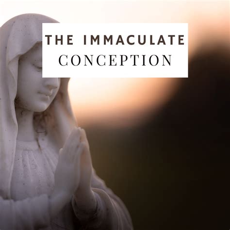 The Immaculate Conception Of Mary Facts And History Savoring Italy