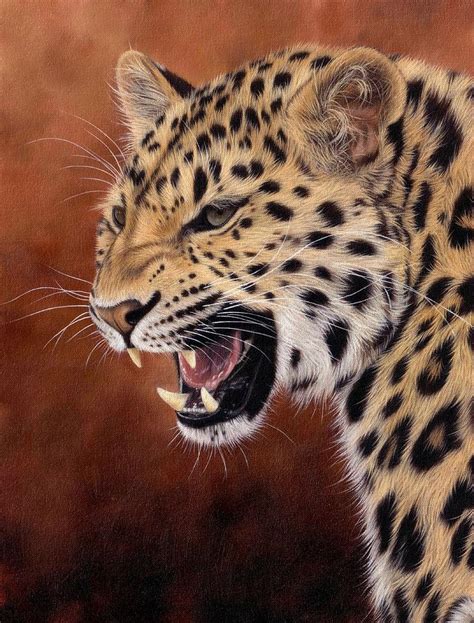 Amur Leopard Painting Painting By Rachel Stribbling Fine Art America