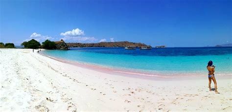 Komodo Islands Pink Beach Pretty In Pink Point And Shoot Wanderlust
