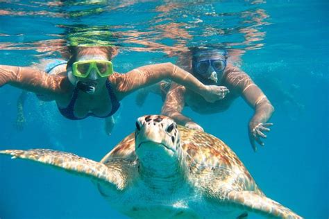 Hidden Gems Of Oahu With North Shore Turtle Snorkeling From Cool
