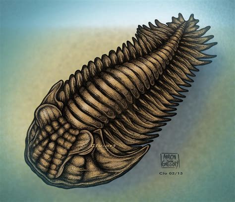 Trilobite By Clu Art On Deviantart