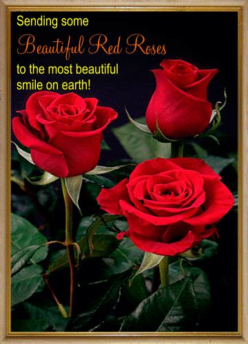 Beautiful Red Roses Free Red Rose Festival Ecards Greeting Cards