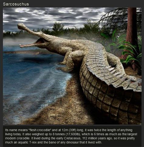 Ancient Animals That Once Ruled The Earth 15 Pics