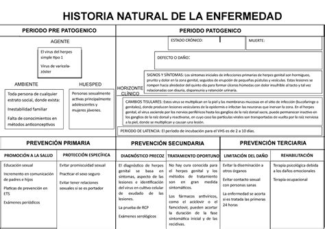 Historia Natural Herpes Historia Natural De La Enfermedad Historia Pdmrea