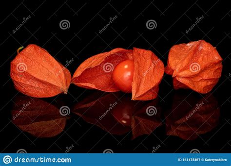Fresh Orange Physalis Isolated On Black Glass Stock Image Image Of