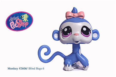 Corner feed is our new full line feed store just a c. Littlest Pet Shop: Pets 2601 - 2700