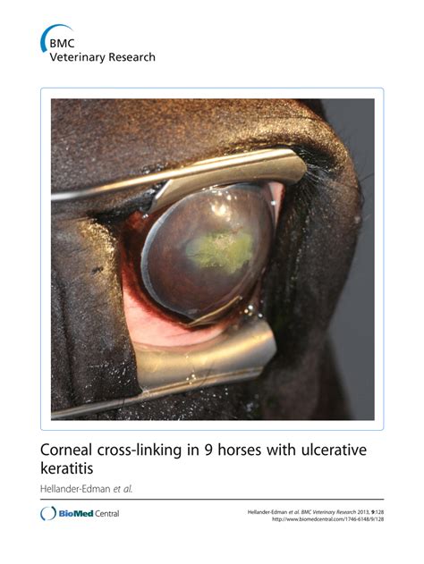 Pdf Corneal Cross Linking In 9 Horses With Ulcerative Keratitis