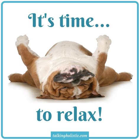 Its Time To Relax Wellbeing Sleeping Dogs Relaxed Dog Animals