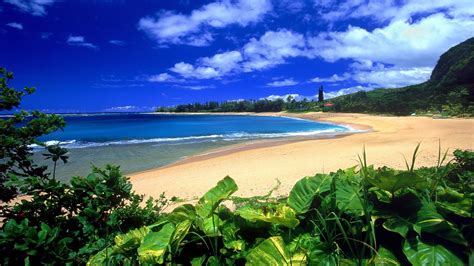 Banco de Imágenes Gratis: 10 fotos de playas tropicales para tus