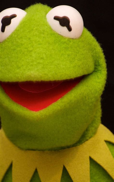 Free Download Kermit The Frog Funny Face 2197x1463 For Your Desktop