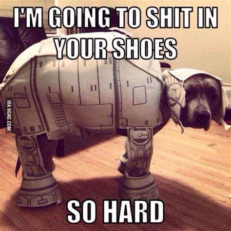 Pin By Morgan On Geekdom Star Wars Funny Pictures Funny Animal Pictures
