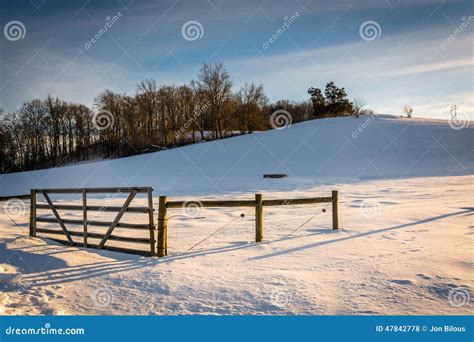 Fence In A Snow Covered Farm Field In Rural York County Pennsylvania