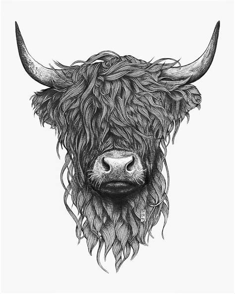 Pin By Anita Glause On ↟2↟ Highland Cow Art Cow Art Cow Art Print