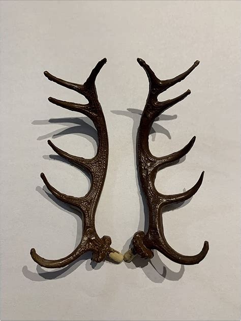 Galapagoz Cuckoo Clock Deer Antlers Original New 4 Inch Set