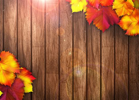 Images Leaf Autumn Leaves Colorful Wood Texture Autumn From Wood
