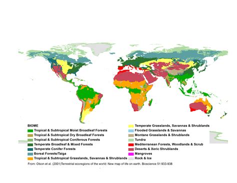 Terrestrial Ecoregions Biomes By Olson Et Aliis 2001 Bioscience 51