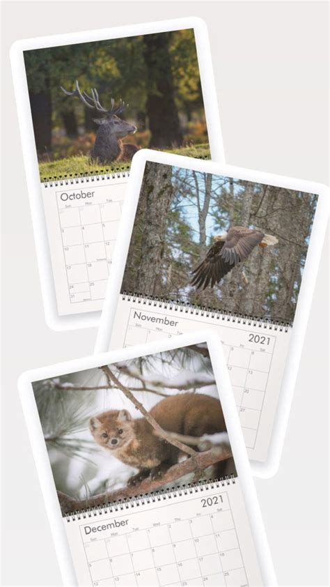 2021 Wildlife Calendar Nature Calendar Etsy