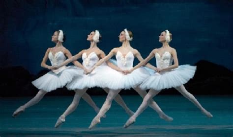 Ballet Photo Balerina Swan Lake Ballet Photos Bolshoi Ballet