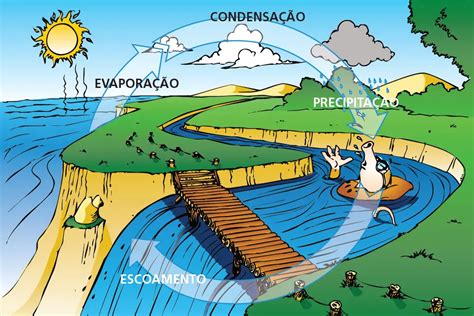 Como Ocorre O Ciclo Hidrológico Resumo Mundo Ecologia
