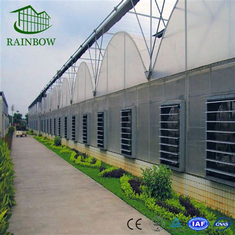 Cooling Pad And Cooling Fan Cooling System For Greenhouse China