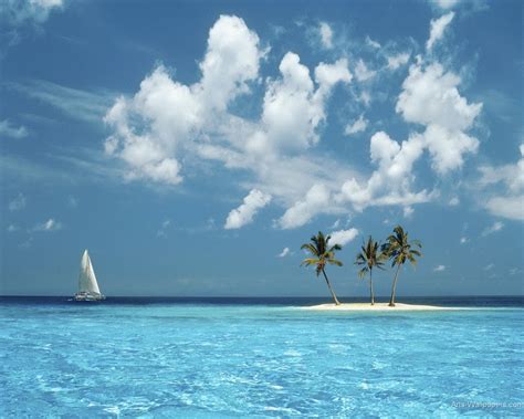 Free download Paradise Wallpaper Art Print Poster Tropical Paradise