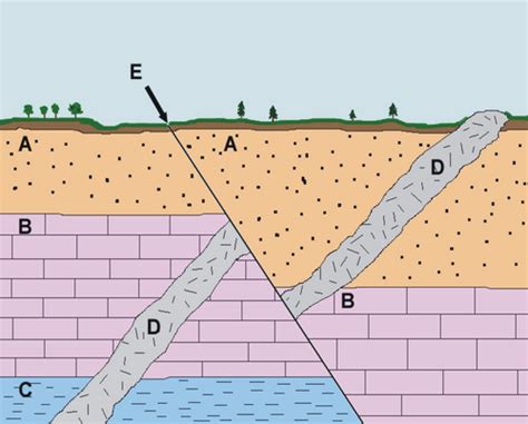 Rock Layers And Fossils Diagram Quizlet