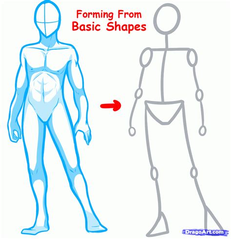 How To Draw Human Body Step By Step For Beginners Shapes Body Draw Beginners Tutorials