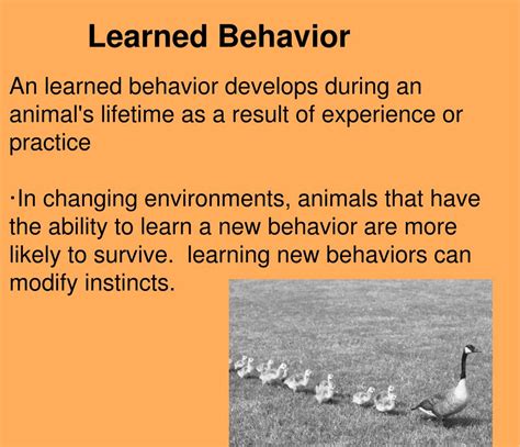 Ppt Animal Behavior Powerpoint Presentation Free Download Id2805122