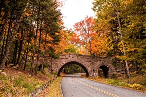 10 Scenic Drives In Maine That Are Perfect For Fall Foliage Views 2023