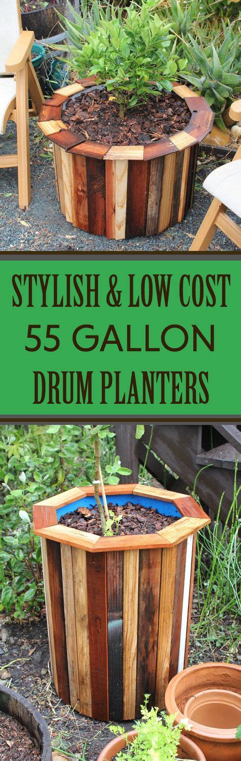 Stylish And Low Cost 55 Gallon Drum Planters Planters 55 Gallon Drum