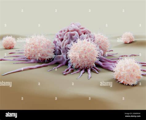 Natural Killer Cells Attacking A Cancer Cell Illustration Stock Photo